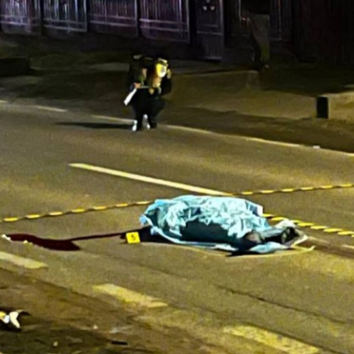 Senatul a votat pedepse mai dure pentru șoferii implicați în accidente mortale