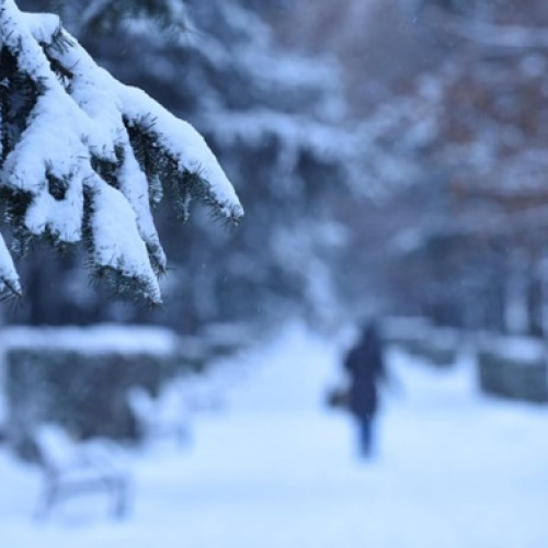 Record istoric de temperatură negativă la Miercurea-Ciuc în octombrie