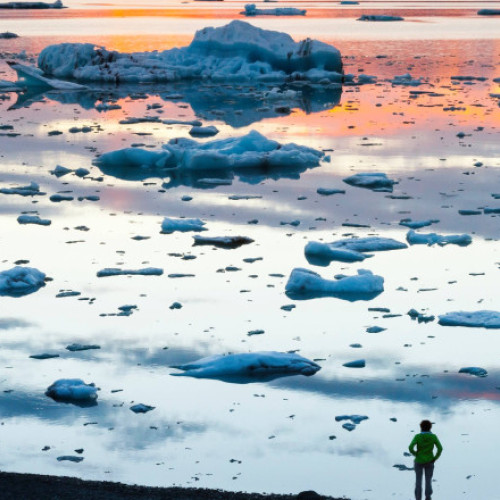 Țânțarii au fost descoperiți pentru prima dată în Islanda, semn al încălzirii globale