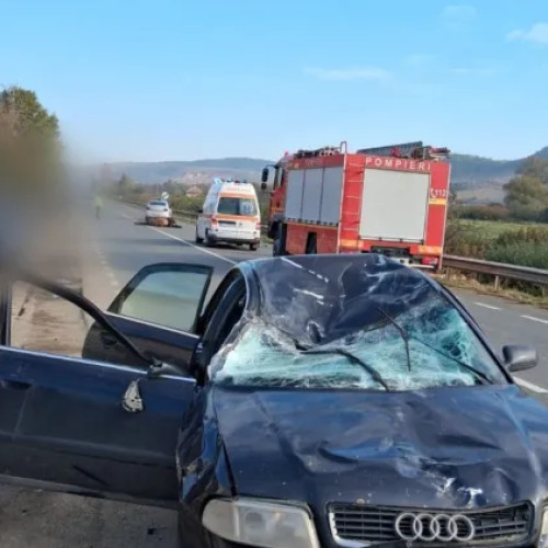 Accident cu căruță și mașină pe DN1F în Sânpaul: un rănit și un cal eutanasiat