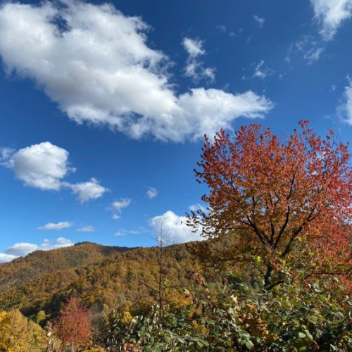 ANM anunță vreme mai rece și precipitații variate în următoarele săptămâni