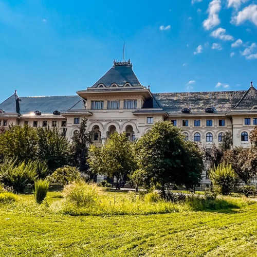 Guvernul va stabili oficial data alegerilor pentru Primăria București în următoarele săptămâni