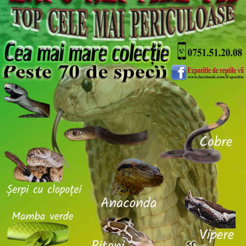 Expoziția „Reptile vii” aduce peste 70 de specii exotice la Muzeul din Roman