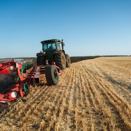 Fermier din Botoșani solicită insolvența firmei agricole Darcom SRL