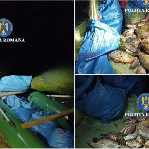 Doi bărbați din Galicea prinși pescuind ilegal pe râul Olt
