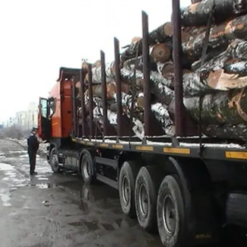 Polițiștii clujeni opresc un transport ilegal de lemn cu volum mult mai mare decât în acte