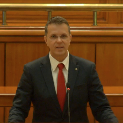 Deputații au adoptat proiectul privind voluntariatul militar în România