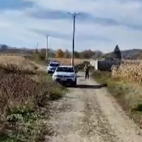 Cadavrul unui nou-născut găsit pe câmp lângă Moinești