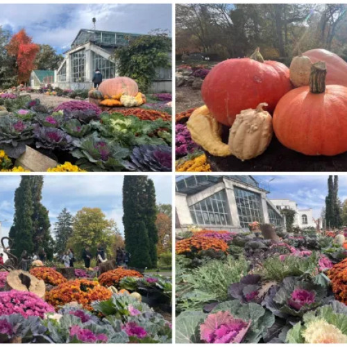 Grădina Botanică din Cluj-Napoca schimbă programul de toamnă pentru vizitatori