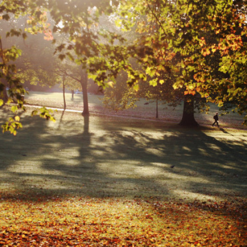 Vremea se răcește în vest și centru, sudul rămâne cald până la 22 de grade