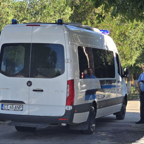 Condamnată pentru mai multe infracțiuni informatice, încarcerată la Poarta Albă