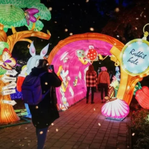 Garden of Lights cu tema Alba ca Zăpada revine la Grădina Botanică din Cluj