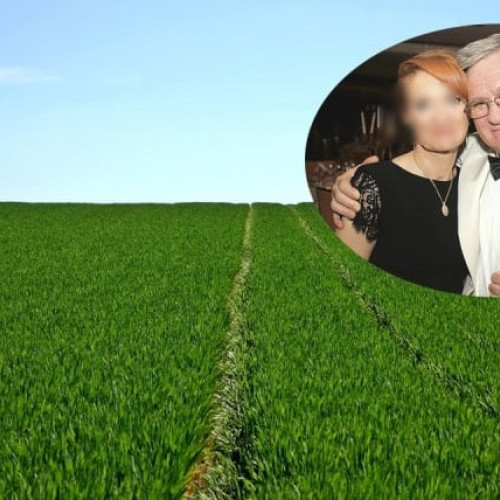 Consiliul Concurenței nu vede impedimente în tranzacția Elcomex I.E.A. SA