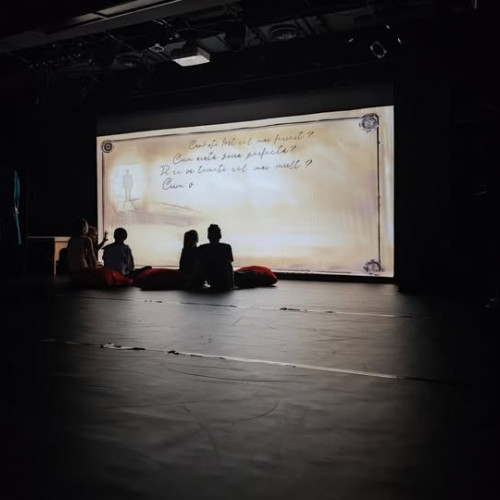 Premiera spectacolului „Chestionarul lui Proust” la Teatrul Municipal Baia Mare