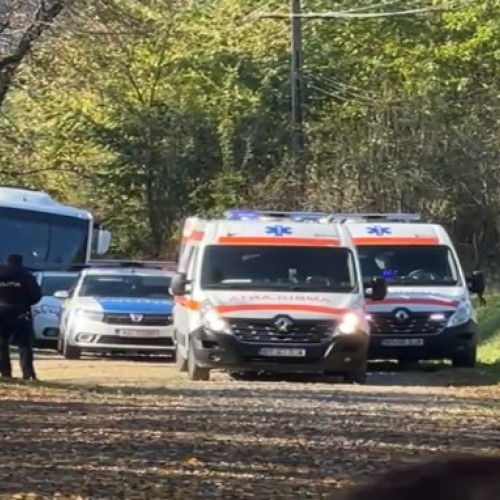 Tânăr de 17 ani din Tudora, județul Botoșani, a murit după ce i s-a făcut rău în pădure