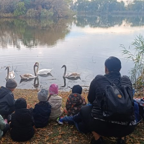 Copiii cântă încântați alături de lebede în parc