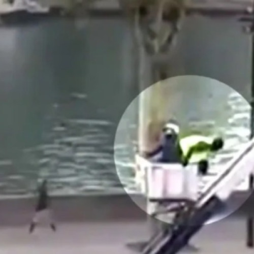 Jaf spectaculos la Muzeul Luvru: bijuterii napoleoniene evaluate la 88 de milioane de euro furate