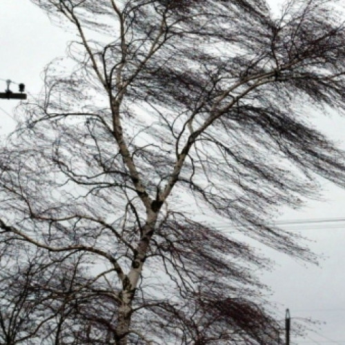 Cod galben de ceață prelungit în județul Vrancea până la prânz