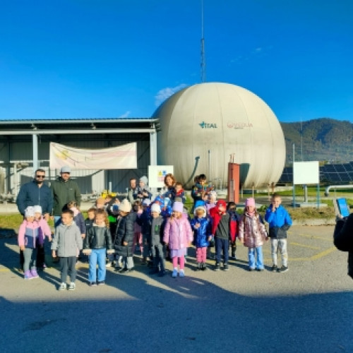 Elevi maramureșeni au participat la Săptămâna Verde pentru protecția mediului