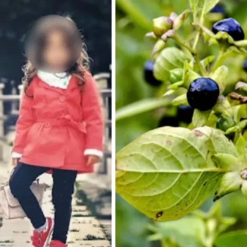 Doi copii din Turda ajung la spital după ce au ingerat fructe toxice