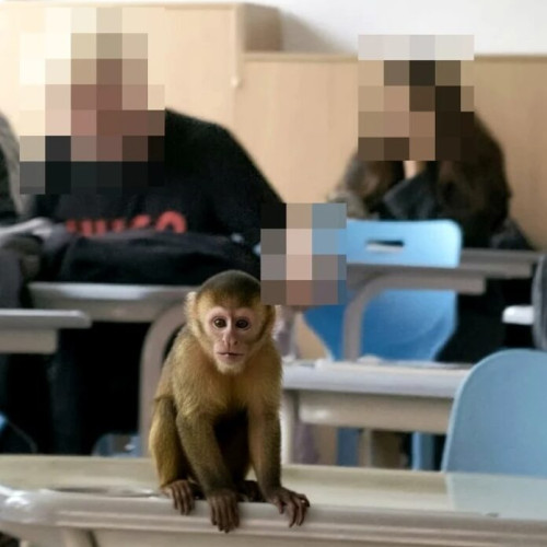 Elevii de la Pedagogic au creat o iluzie cu inteligența artificială, declanșând o reacție serioasă