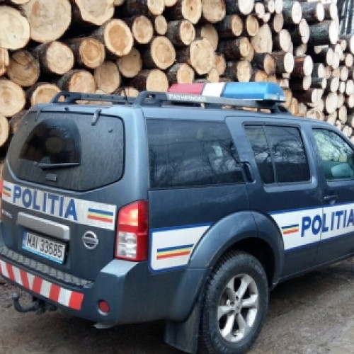 Acțiune de prevenire a delictelor silvice în Farcașa cu peste 40 m.c. de lemn confiscat