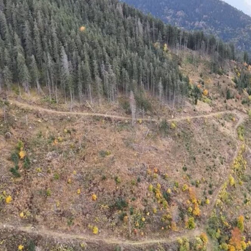 Drame în pădurile Telciului: stânci sparte pentru profit și distrugerea mediului