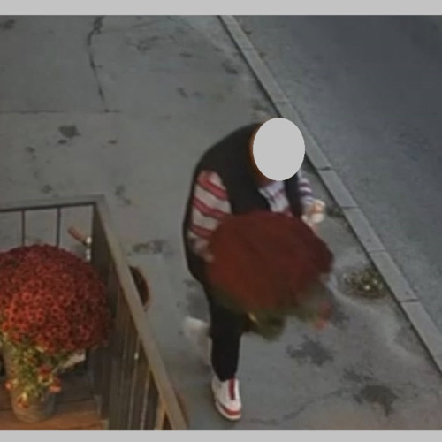 Un bărbat surprins furând un ghiveci de lângă Tomis Mall, căutat de comerțanți