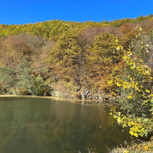 Mesaje de Sfântul Dumitru 2025 pentru cei care poartă acest nume