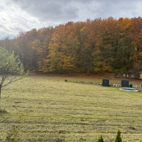 Festivalul „Pintea Viteazul” 2026 se va desfășura la Popasul Vânătorului între Cernești și Târgu Lăpuș