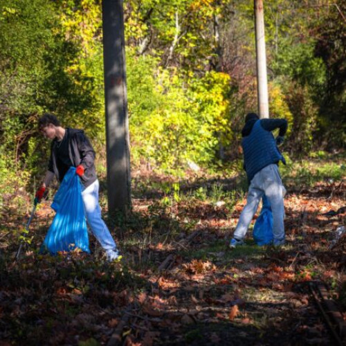 Voluntari au curățat și întreținut pajiștea Petricani din Sectorul 2