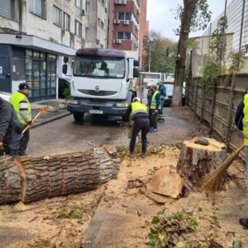 Acțiuni de curățenie și întreținere derulate în Sector 2 în această săptămână