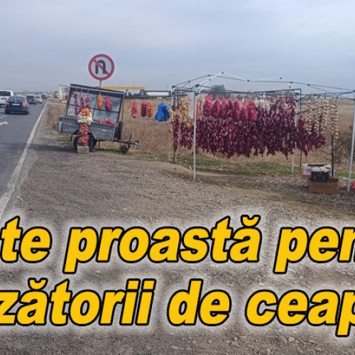 Autostrada din jurul Buzăului va afecta vânzătorii de ceapă de pe E85
