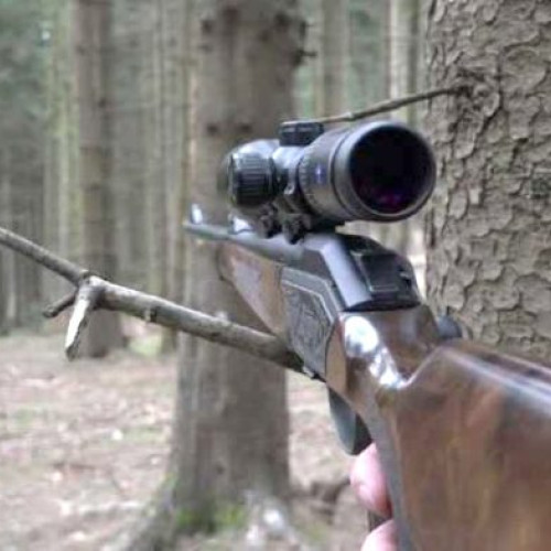 Peste 2.700 arme de foc și 330.000 cartușe ilegale confiscate în 2025