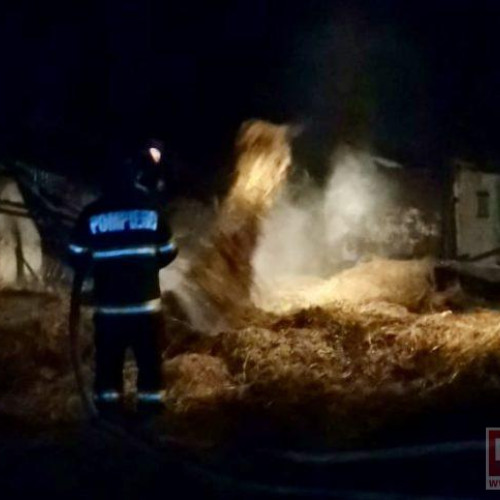 Incendiu puternic într-o gospodărie din Icușeni Vale, Vorona