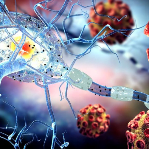 Micro-roboți din ADN capabili să se adapteze mediului își schimbă forma ca petalele unei flori