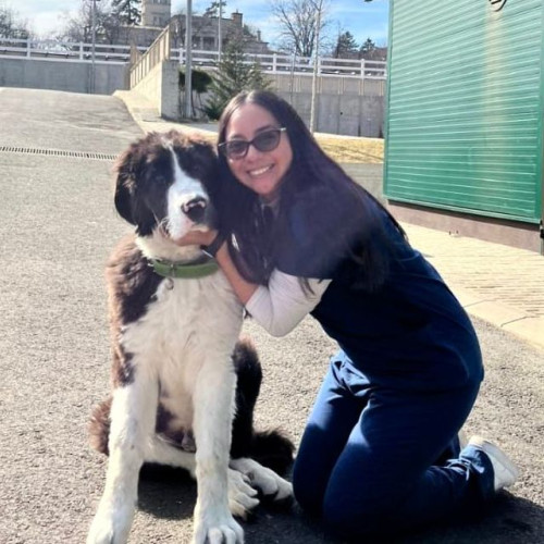 Din Belize la Iași: o studentă descoperă patru anotimpuri și o nouă casă