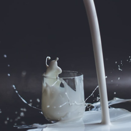 Consiliul Concurenței verifică practicile retailerilor de lactate din România