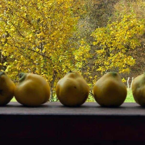 Temperaturi în creștere până la finalul lunii octombrie, apoi scăderi ușoare în noiembrie