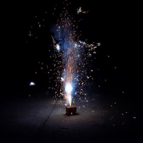 Primăria Brașov renunță la focurile de artificii pentru protejarea animalelor