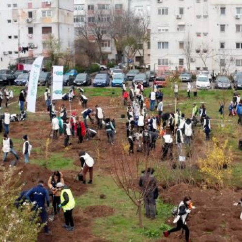O pădure urbană cu peste 15.000 de plante va fi creată la Brașov în zona CATTIA