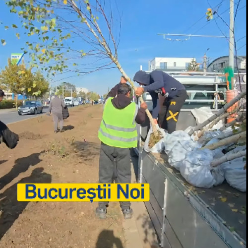 Peste 400.000 mp de spații verzi modernizate în Sectorul 1 în ultimele 12 luni