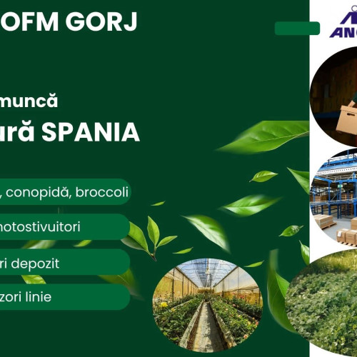 Angajator din Spania oferă 210 locuri de muncă prin EURES România