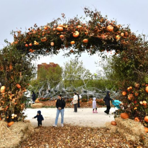 Peste 60.000 de participanți la West Side Hallo Fest de pe Lacul Morii în Sector 6