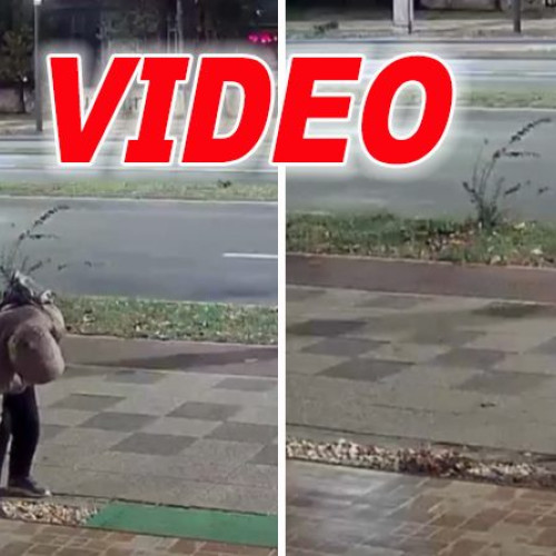 O femeie, surprinsă smulgând o floare urbană pe Bd. Unirii Sud