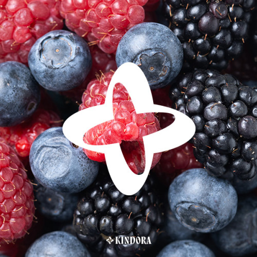 Alternative sănătoase care înlocuiesc zahărul în dietele cu restricție de carbohidrați