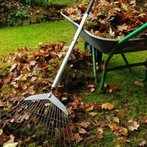 Colectarea deșeurilor vegetale începe în oraș și localitățile înconjurătoare