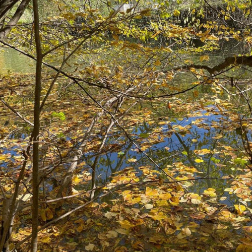 Perioadă caldă până la mijlocul lui noiembrie, urmează răcire treptată