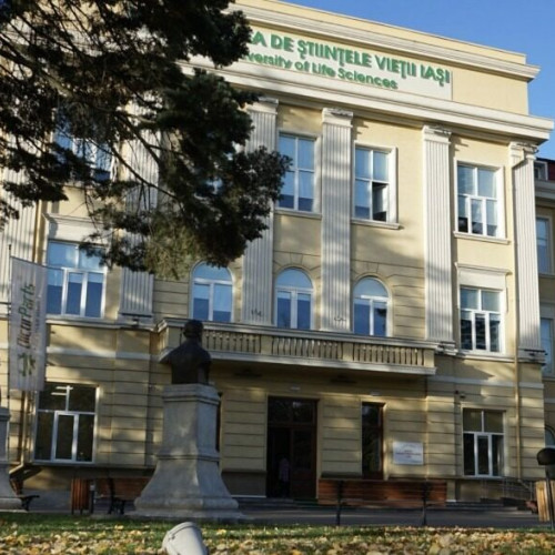 Cadru universitar din Iași, cercetat pentru comportamente nepotrivite față de studente