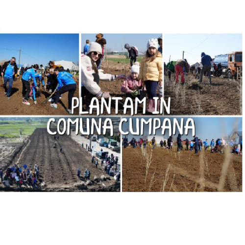 Invitație pentru toți la plantarea arborilor în zona parcului industrial